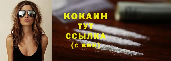 прущие грибы Армянск