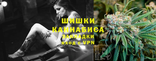 прущие грибы Армянск