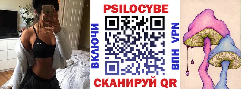 Купить где  Белоярский  Псилоцибиновые грибы MAGIC MUSHROOMS 